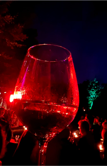 20260120_Partyamarschderwelt_3