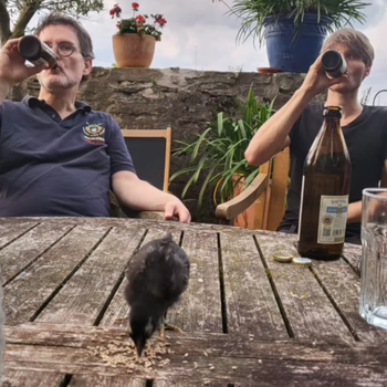 20260213_PartyamArschderWelt_Team_3